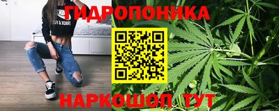 COCAINE Можга